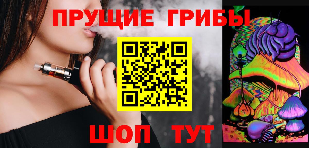 Псилоцибиновые грибы Cubensis Осинники