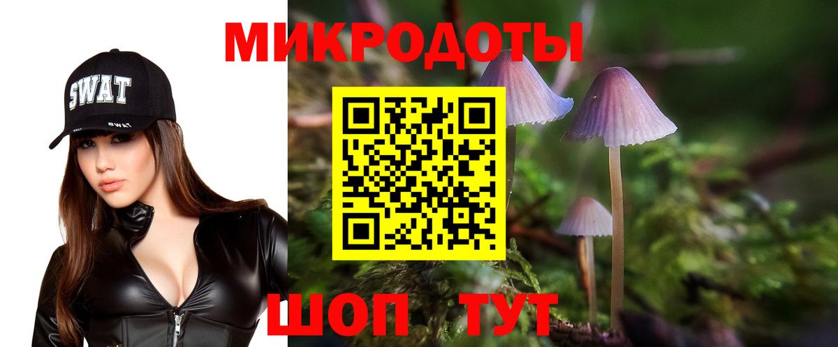 Осинники  Галлюциногенные грибы Psilocybe  Вход с VPN 